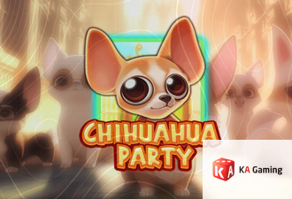Chihuahua Party