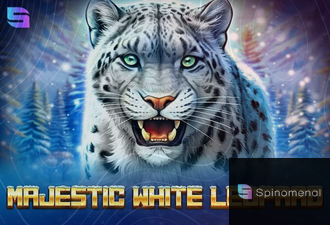 Majestic White Leopard